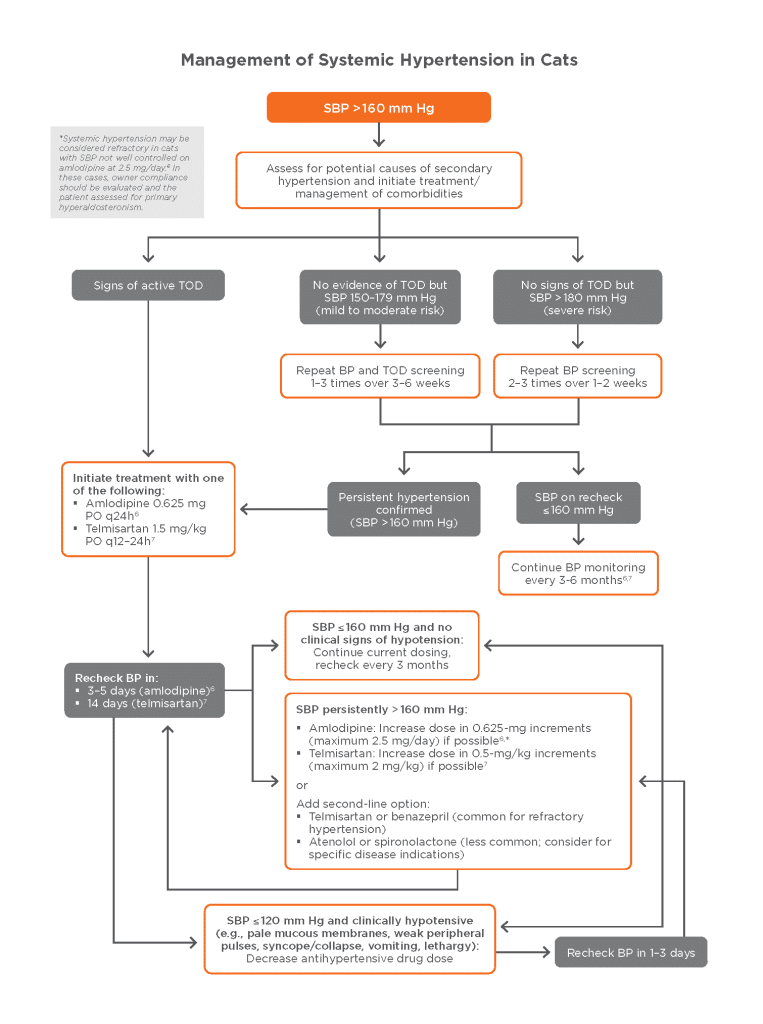 Algorithms for the Management of Systemic Hypertension in Dogs and Cats