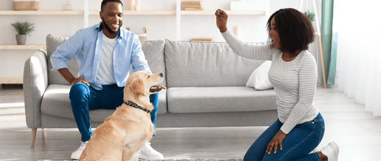 Teaching Relaxation Exercises to Dogs