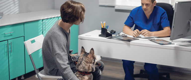 End-of-Life Options: Understanding Palliative and Hospice Care Services