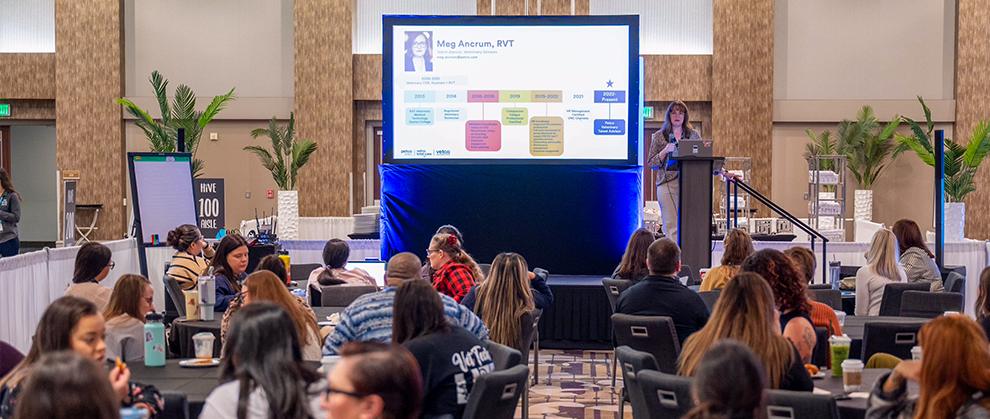 Spread the Word: Vet Nurse+Tech and Practice Management HiVE West - Featured Image