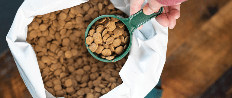 The Role of Dietary Fiber in Pet Nutrition: Health Benefits and Practical Applications