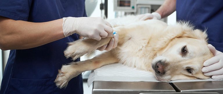 What Goes Into Expert Guidelines? Unpacking New Recommendations for Anesthesia and Sedation Monitoring