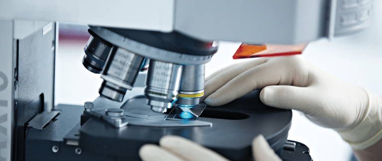 Blood Smear Review: Erythrocyte Inclusions and Integrating Red Blood Cell Changes