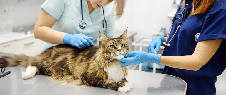 All or Nothing: The No. 1 Way to Prevent Patient-Inflicted Injuries