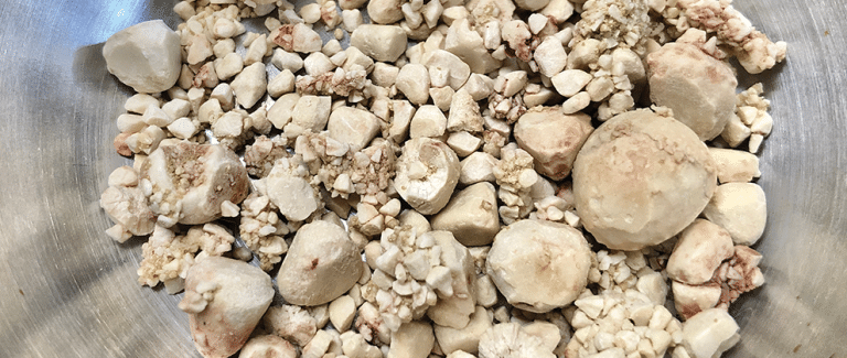 Understanding and Addressing Canine Calcium Oxalate Urolithiasis