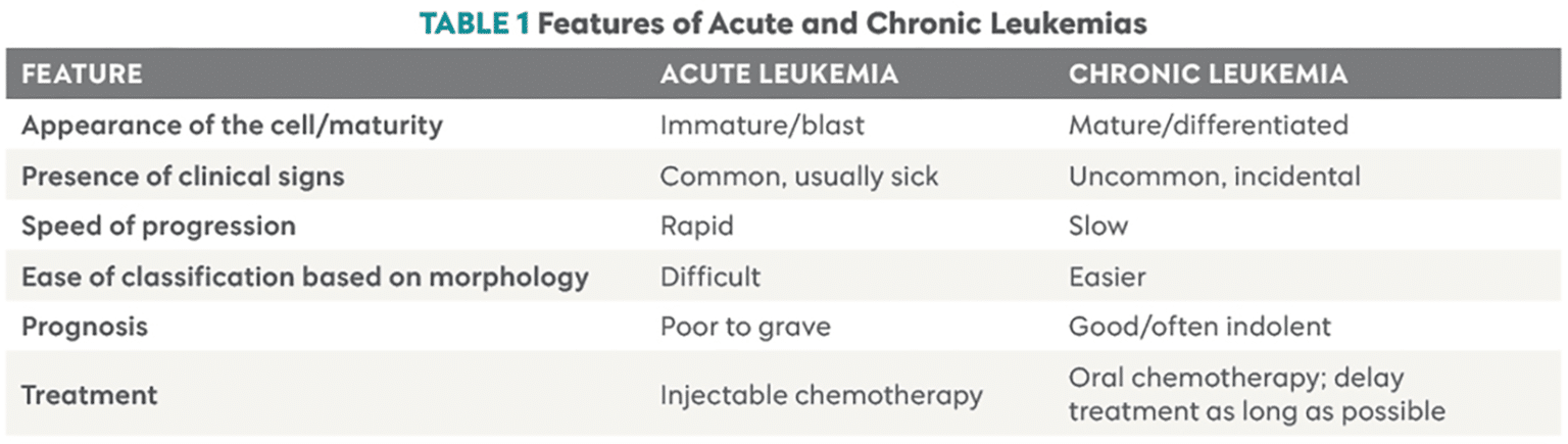 How to Approach Canine Leukemias in General Practice | Today's ...