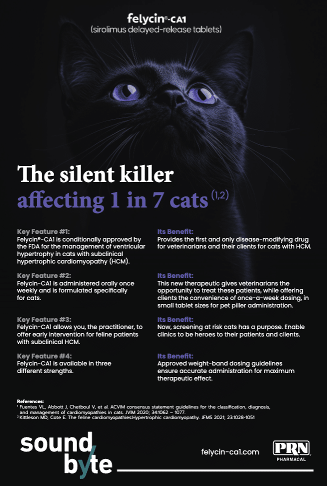 Felycin®-CA1 | Today's Veterinary Practice