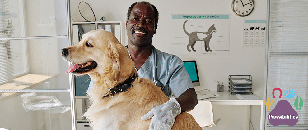 Starting Late, But Right on Time: Veterinary Medicine as a Later Career - Featured Image