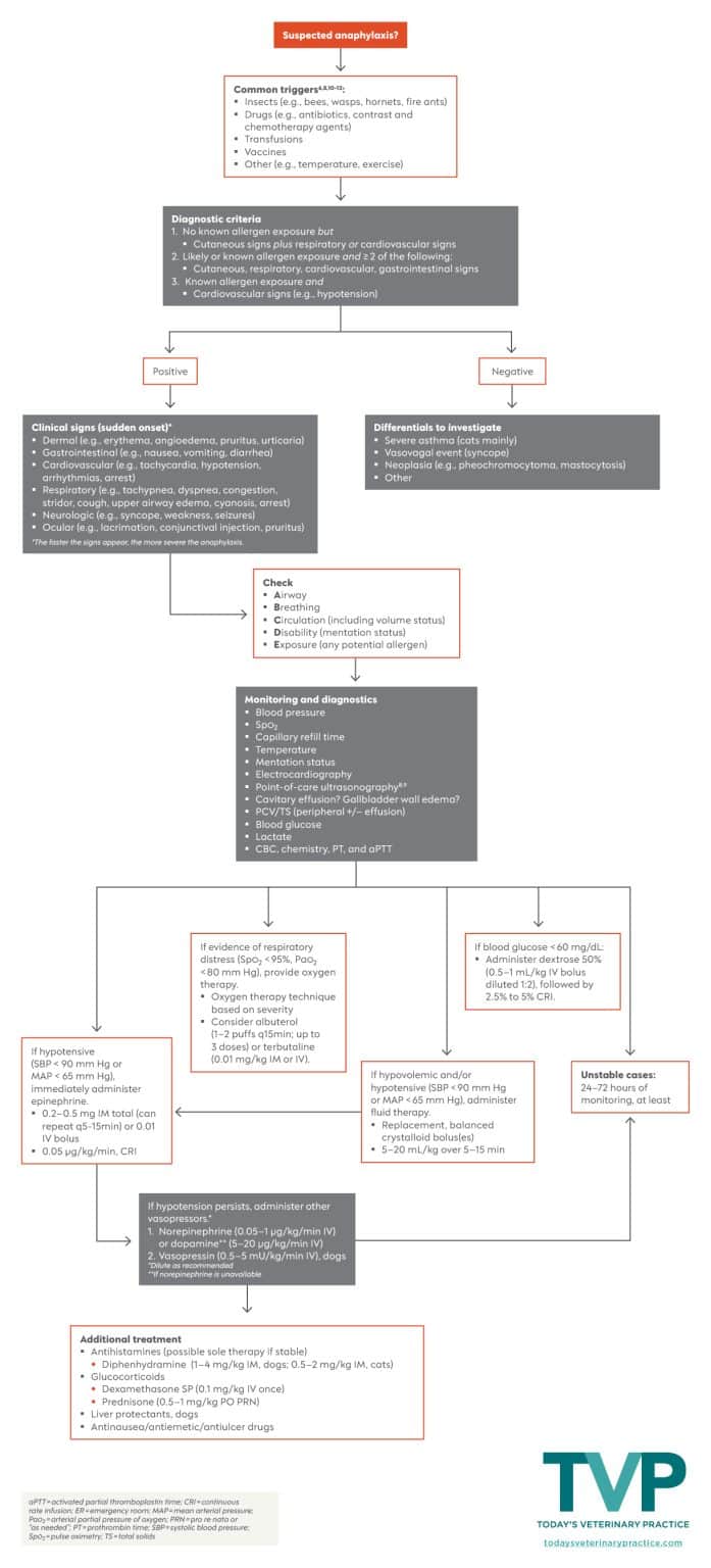 An Algorithmic Approach to Treating Anaphylaxis in Dogs and Cats ...