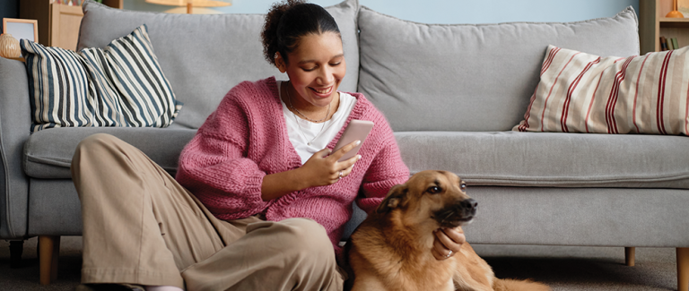 Continuous Glucose Monitor Use in Small Animal Medicine