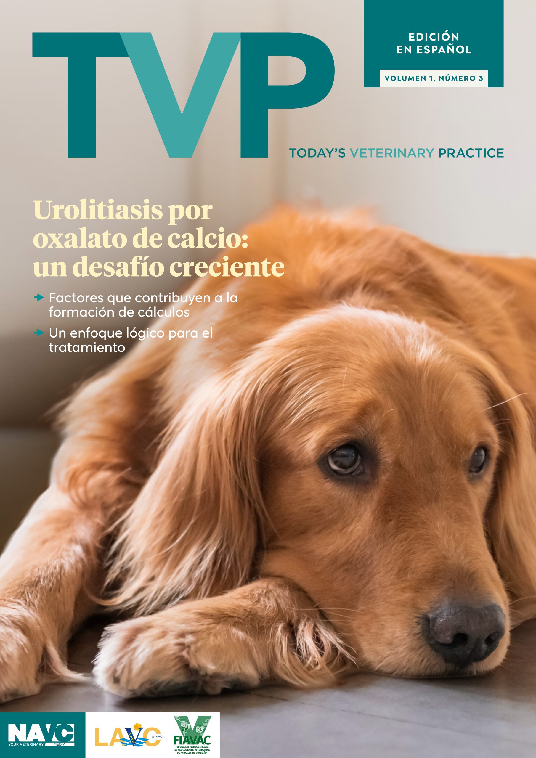 TVP-ESP-0326-Cover