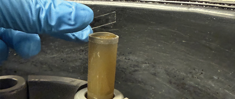Comparison of Current Fecal Examination Techniques for Diagnosing Parasites in Companion Animals