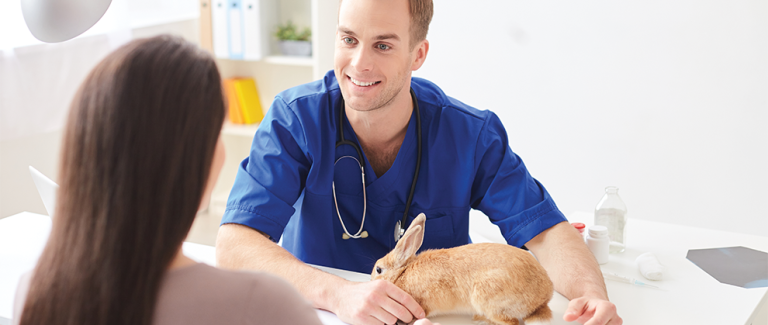 Implementing Spectrum of Care in Exotic Companion Animal Practice