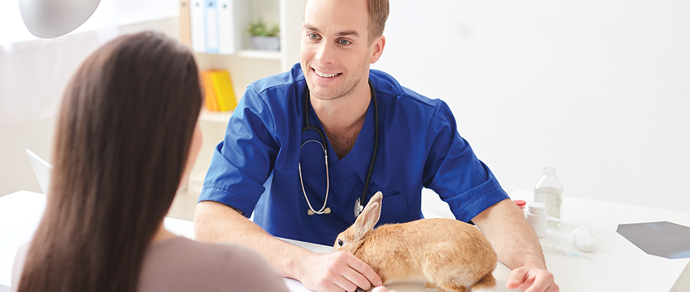Implementing Spectrum of Care in Exotic Companion Animal Practice - Featured Image