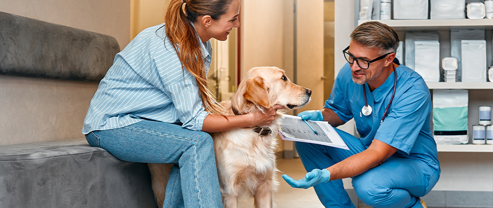 Talk to the Pet to Reach the Client: The Impact of “Pet-Directed Speech” - Featured Image